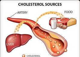 Let us know our Cholesterol – Part 1